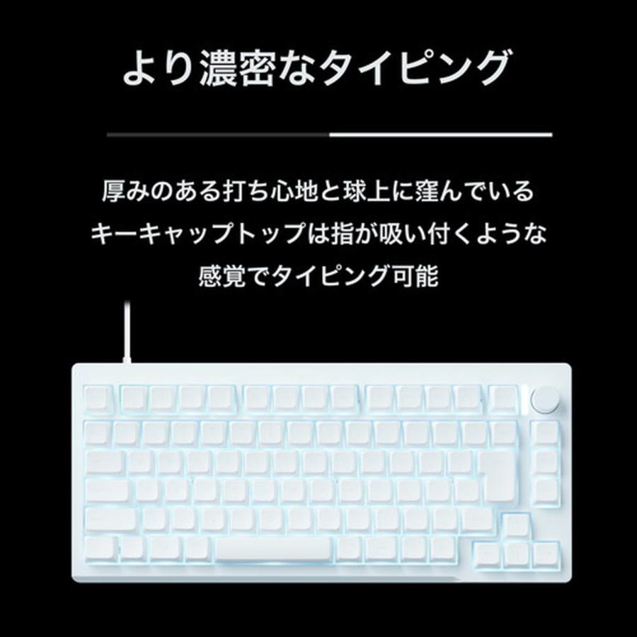 PRINCETON（プリンストン） CNCフルアルミケース 75% 磁気無接点