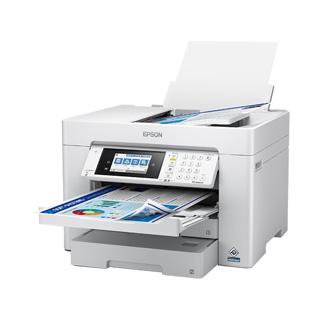 EPSON エプソン A3ノビ対応インクジェット複合機 ビジネスプリンター 2段トレイ PX-M6011F_1