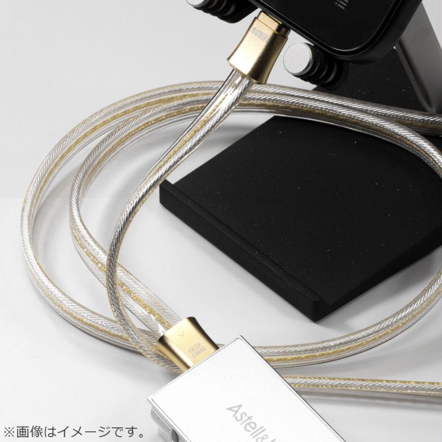 ddHiFi ディーディーハイファイ TC19CC Gold 100cm シリーズ USB C to