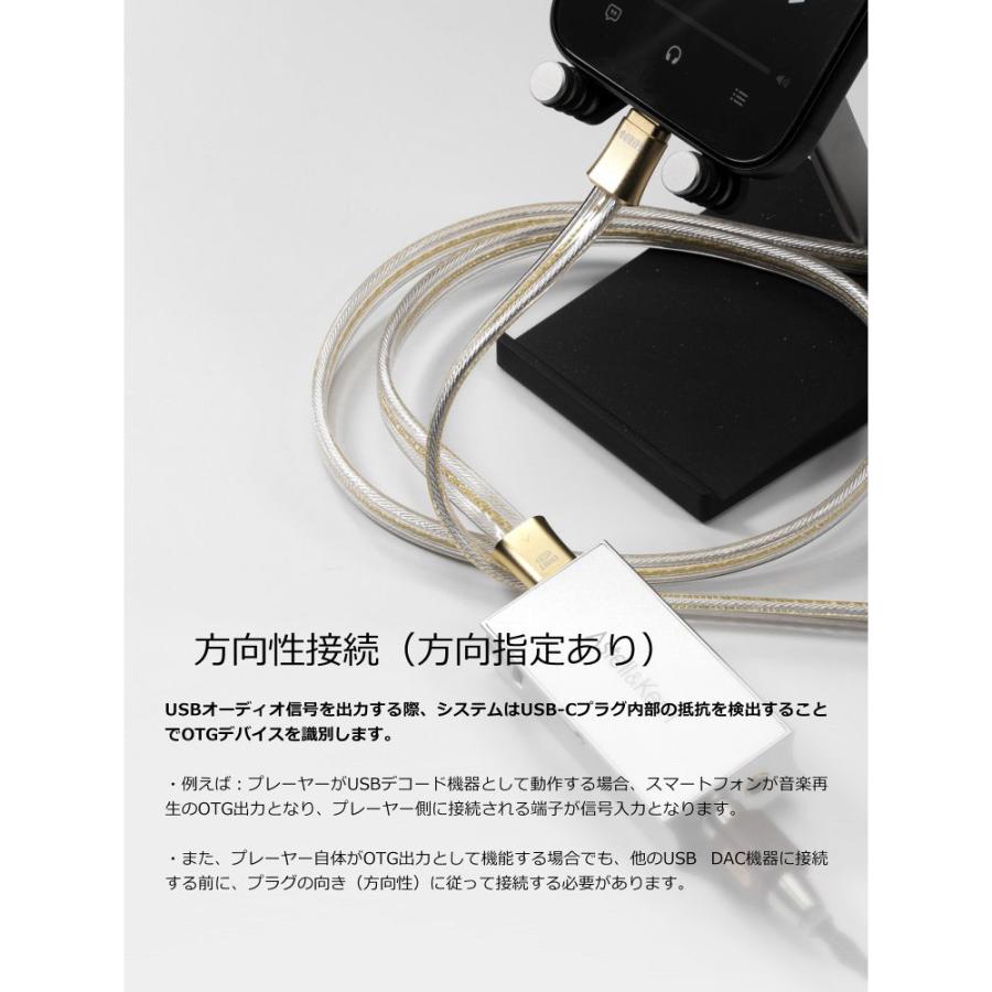 ddHiFi ディーディーハイファイ TC19CC Gold 100cm シリーズ USB C to