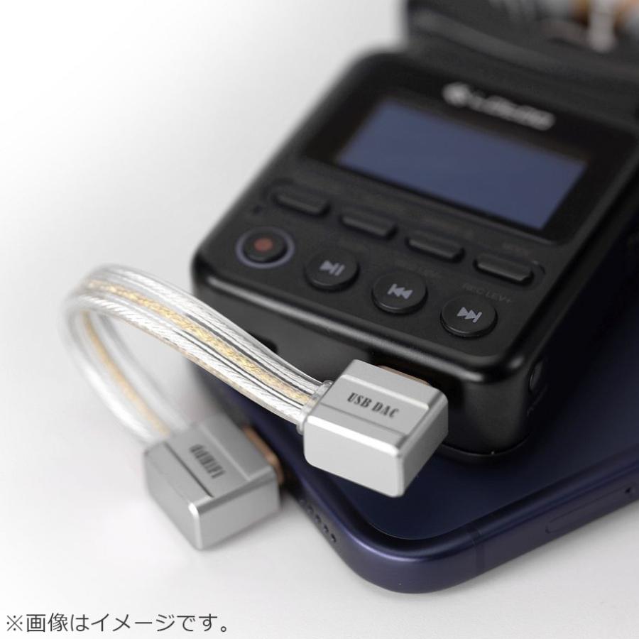 ddHiFi ディーディーハイファイ TC19LL Gold シリーズ USB C to OTG