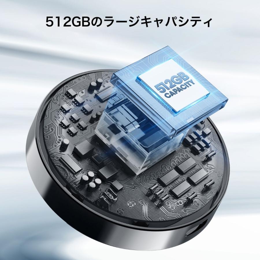 Princeton プリンストン DIGIERA 磁気ポータブルSSD 外付け SSD Type-C USB 3.2 Gen 2x2 搭載 512GB ブラック DGLPS2000M512BL_7