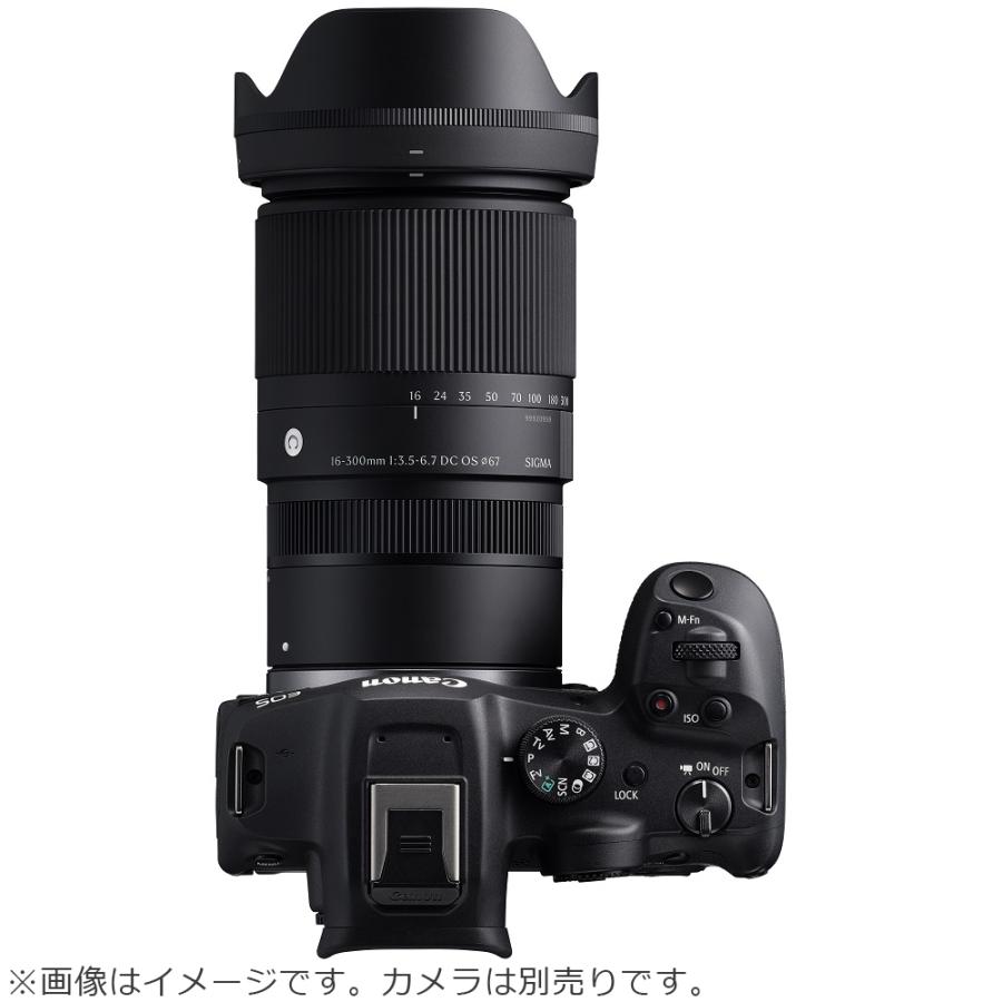 SIGMA 300mm レンズ(詳細不明) Amazon.co.jp: シグマ(Sigma) レンズ 16-300mm F3.5-6.7 DC OS L