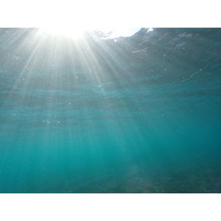 Fisheye フィッシュアイ 21191 WF ワイドエアレンズWFL11M52の画像
