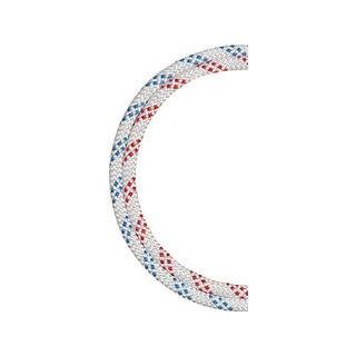 BlueWater Ropes ブルーウォーターロープス  セイフライン 9.5φ×91m 白 青 534630WHBL