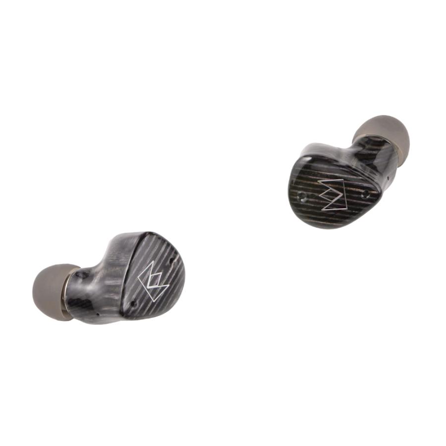 Noble Audio ノーブル・オーディオ NBA-FOKUS-PRESTIGE-ENCORE-BK 完全