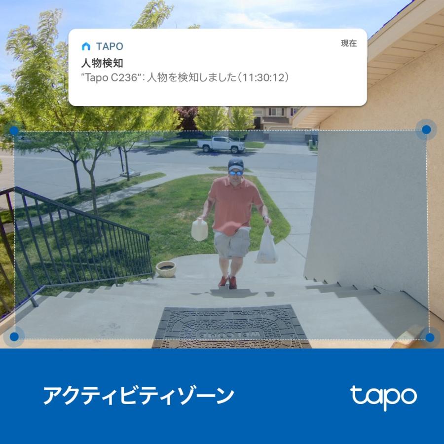 TP-Link ティーピーリンク 屋内外対応パンチルトセキュリティWi-Fi