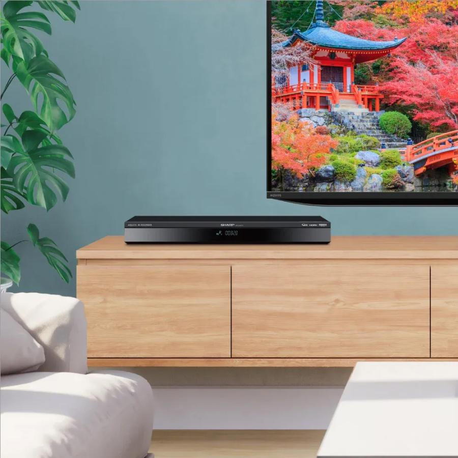 SHARP（シャープ） 【梱包B級品】4B-C40GT3 4TB 4Kチューナー内蔵