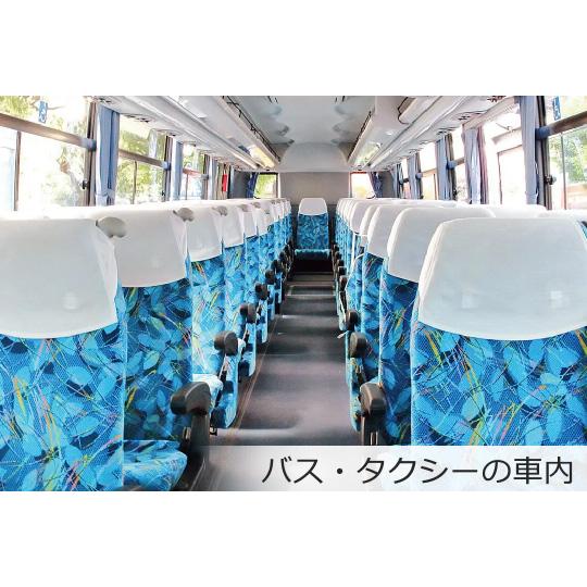 エスケイネット SK-MTP Misty Pro コードレス電動ミスト噴霧器 500mlの画像