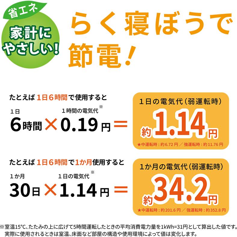 KODEN 広電 VWR182H-B　洗えるらく寝ぼう　180サイズ　ブラウン、無地　フランネル【約180×80cm】｜murauchi｜04