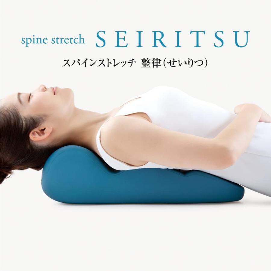 alphax アルファックス AP-621676 spine stretch SEIRITSU スパイン