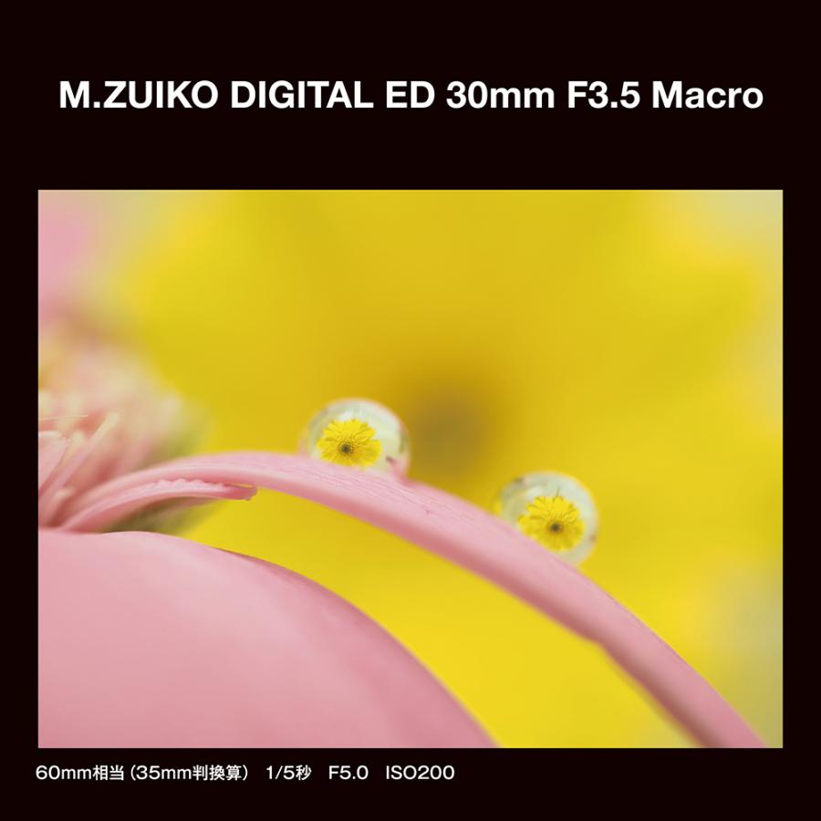 オリンパス（OLYMPUS） OM SYSTEM オーエムシステム M.ZUIKO DIGITAL