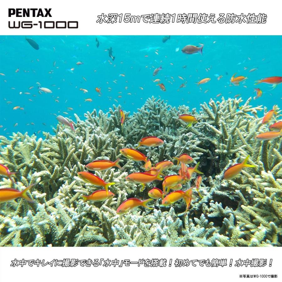 PENTAX ペンタックス 【5/3頃入荷分】WG-1000 オリーブ 防水 PENTAX ペンタックス 【5/3頃入荷分】WG-1000 オリーブ 防水