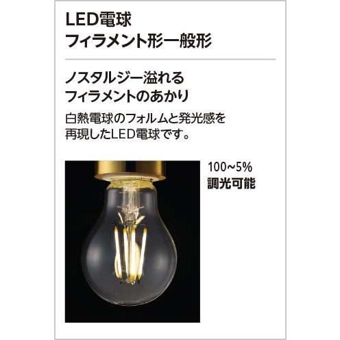 ODELIC オーデリック OG254104LC2 エクステリア ポーチライト(電球色) 防水パッキンレス型の画像
