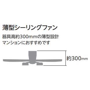 ODELIC オーデリック WF081P1　シーリングファン(マットシルバー色・木調ナチュラル色) ［パイプ吊り］_5