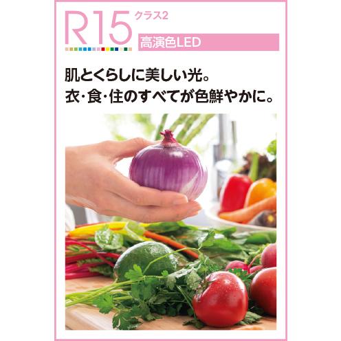 ODELIC オーデリック WF298LR　LED電球 シーリングファン灯具(電球色) 〜6畳