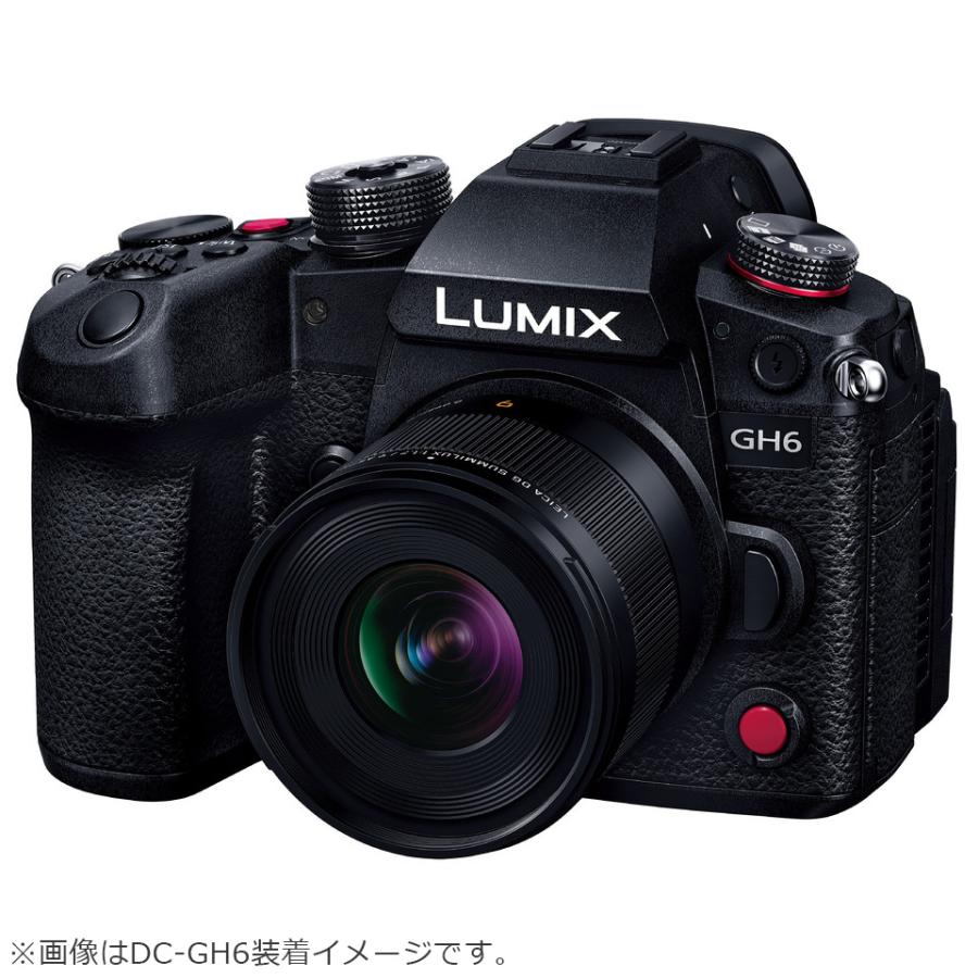 Panasonic（パナソニック） H-X09 デジタル一眼カメラ用交換レンズ