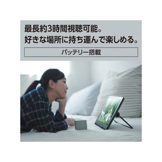 Panasonic（パナソニック） UN-15L12H 15V型 ポータブル地上・BS・110