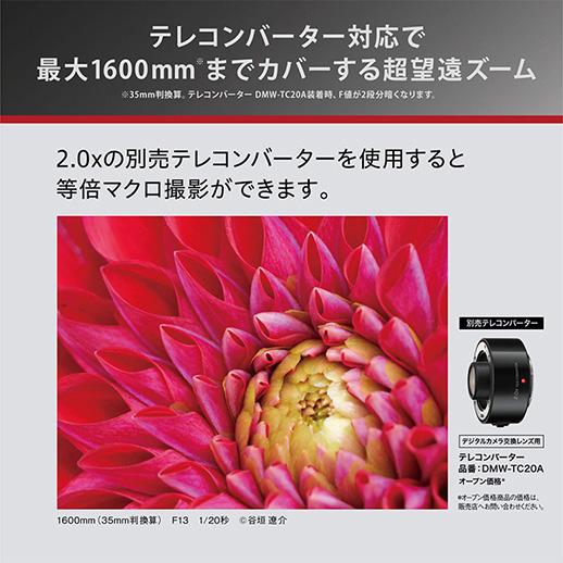Panasonic（パナソニック） H-RSA100400 LEICA DG VARIO-ELMAR 100