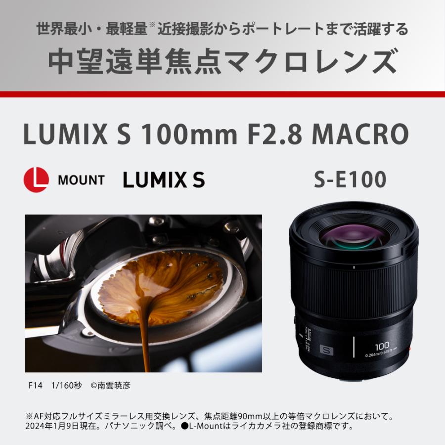 Panasonic（パナソニック） S-E100 中望遠単焦点マクロレンズ L