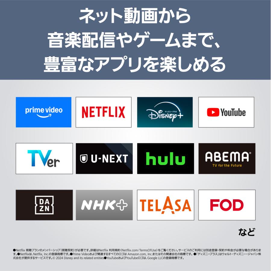 Panasonic（パナソニック） TH-43LF2 43V型 4K液晶テレビ レイアウト