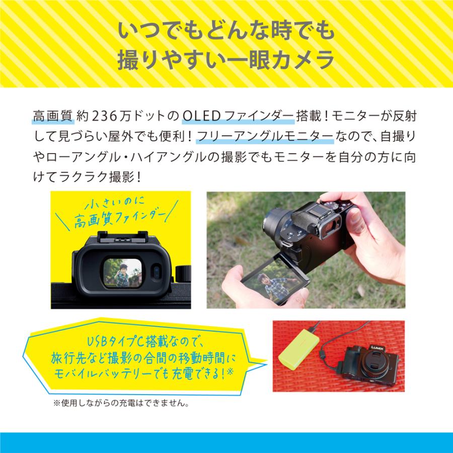 Panasonic（パナソニック） DC-G100DW-K(ブラック) LUMIX Wキット