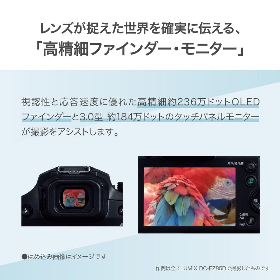 Panasonic パナソニック DC-FZ85D-K デジタルカメラ LUMIX FZ85D Panasonic パナソニック DC-FZ85D-K デジタルカメラ LUMIX FZ85D