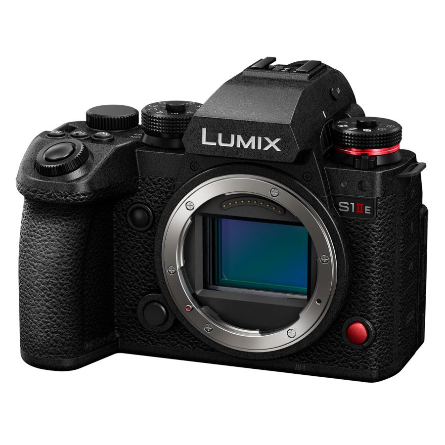 Panasonic（パナソニック） DC-S1M2ES LUMIX S1IIE デジタル一眼カメラ