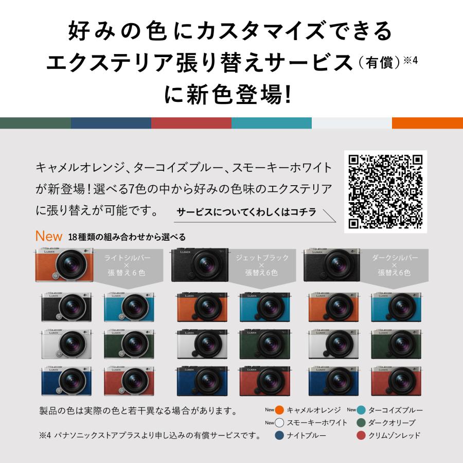 Panasonic（パナソニック） DC-S9N-N(チタンゴールド) LUMIX S9 広角