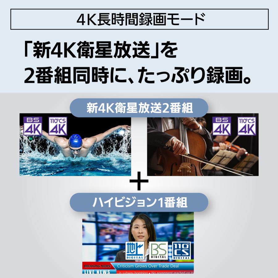 Panasonic パナソニック DMR-4T305 3TB ブルーレイディスクレコーダー 4Kチューナー内蔵 ディーガの画像