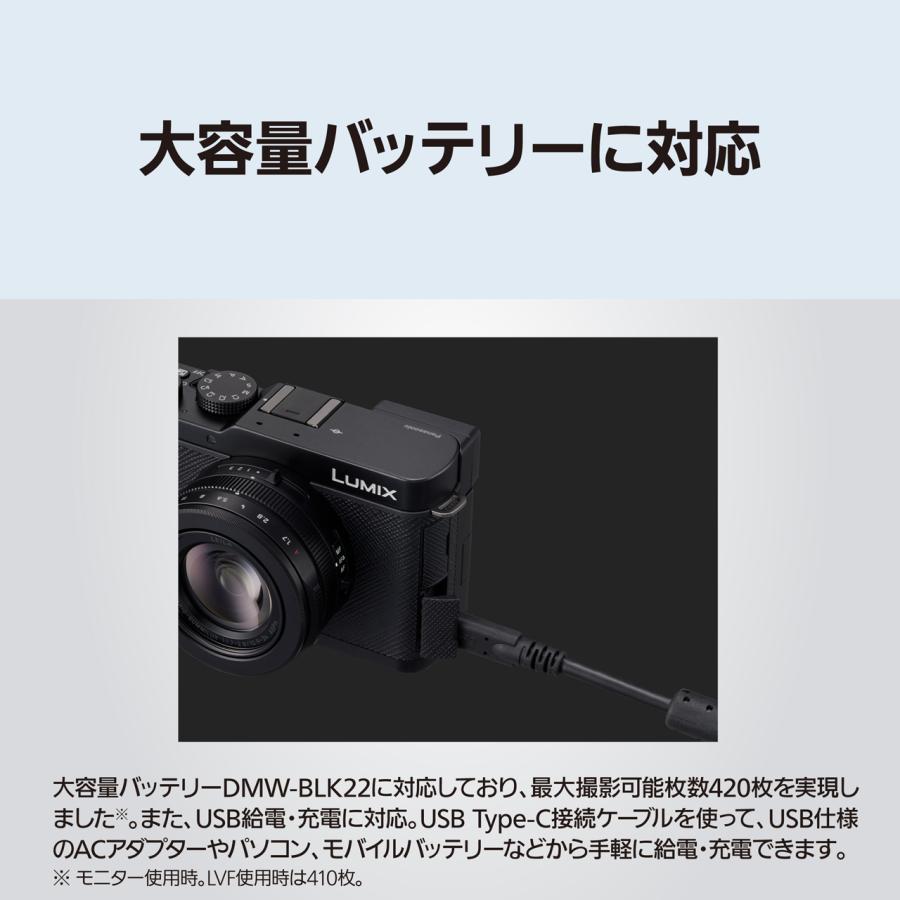 Panasonic（パナソニック） 【5年間延長保証込】Panasonic DC-L10-S
