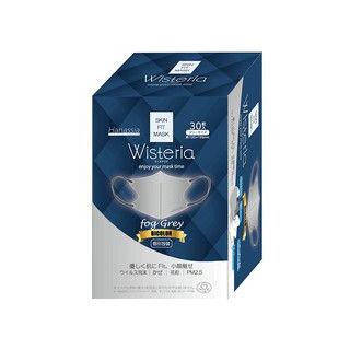 株式会社AI-WILL アイウィル Hanassia ハナッシア ウィステリア