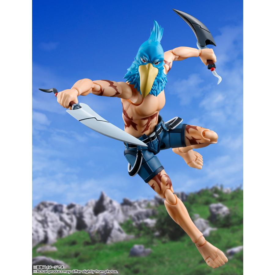 BANDAI SPIRITS バンダイスピリッツ S.H.Figuarts シャングリラ