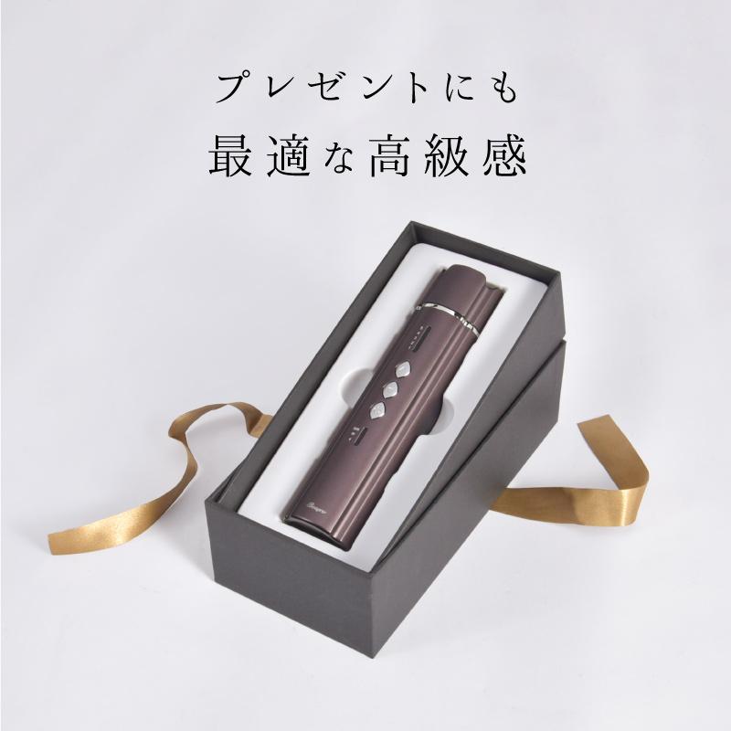 TAIGASHOJI 大河商事 Beapro22 コンパクト美顔器 スティック