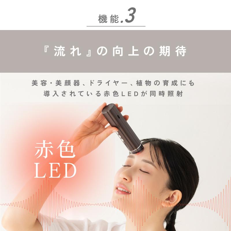 TAIGASHOJI 大河商事 Beapro22 コンパクト美顔器 スティック