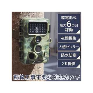THANKO サンコー 置くだけ簡単 トレイル防犯カメラ AUTMTSHNA