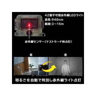 THANKO サンコー 置くだけ簡単 トレイル防犯カメラ AUTMTSHNA