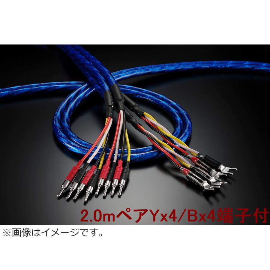 Zonotone ゾノトーン Granster SP-8800 2.0mペア Yx4/Bx4端子付