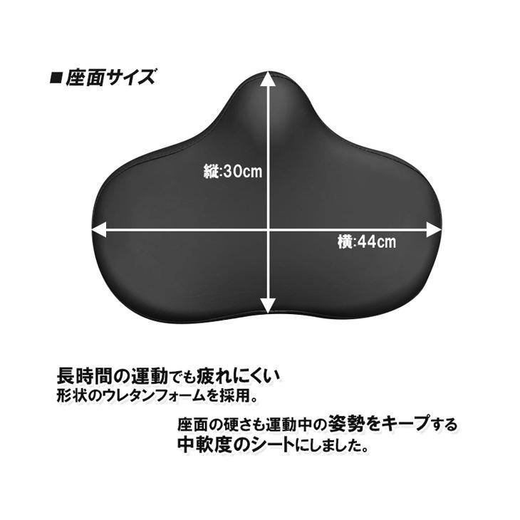 DAIKOU/大広 【代引不可】【準業務用】リカンベントバイク DK-1030Aの画像