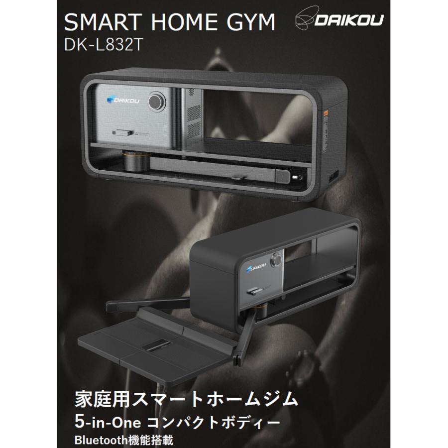 DAIKOU/大広 【代引不可】【家庭用】スマートホームジム 5-in-One