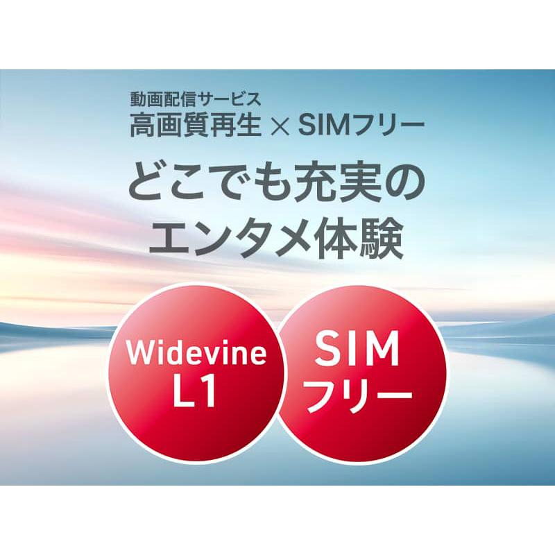 aiwaデジタル 8.68インチSIMフリータブレット aiwa tab AS8L-2 JA5