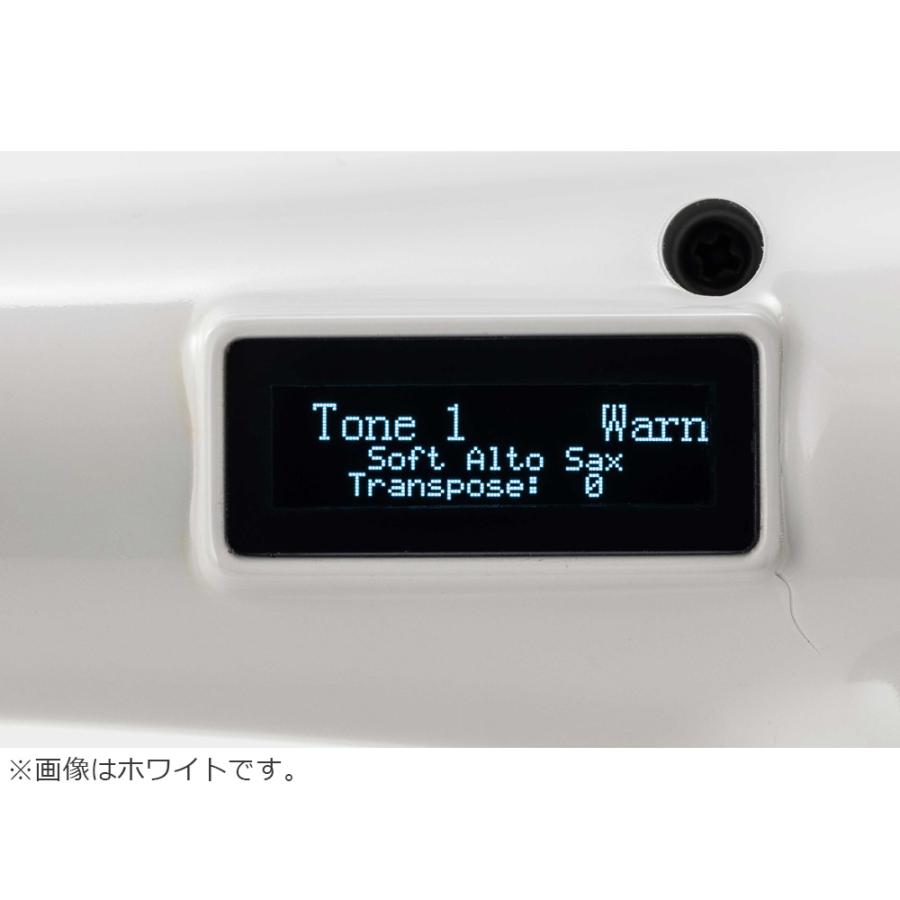 TAHORNG タホーン ELS10NB-BK(ブラック) 電子サックス Elesa10 単体