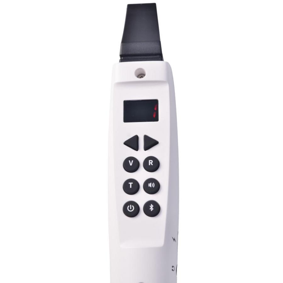 TAHORNG タホーン Elesa-W1WH (ホワイト) 電子サックス Elesa-W1 