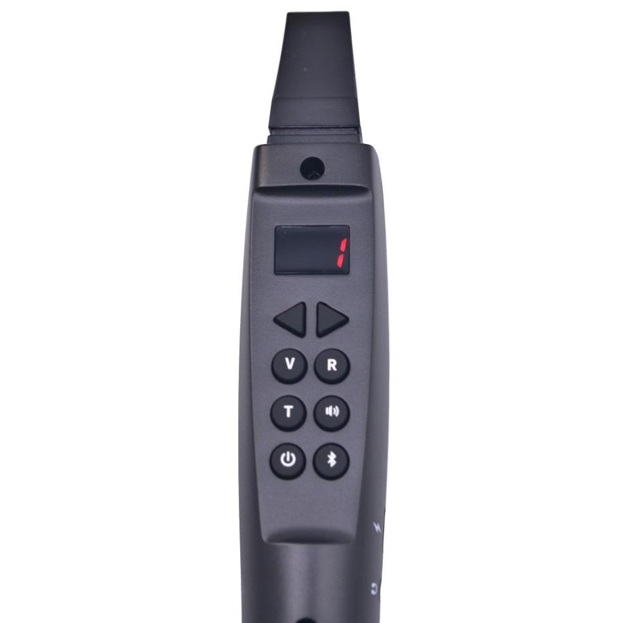 TAHORNG タホーン ELESA-W1BK(ブラック) 電子サックス Elesa-W1 