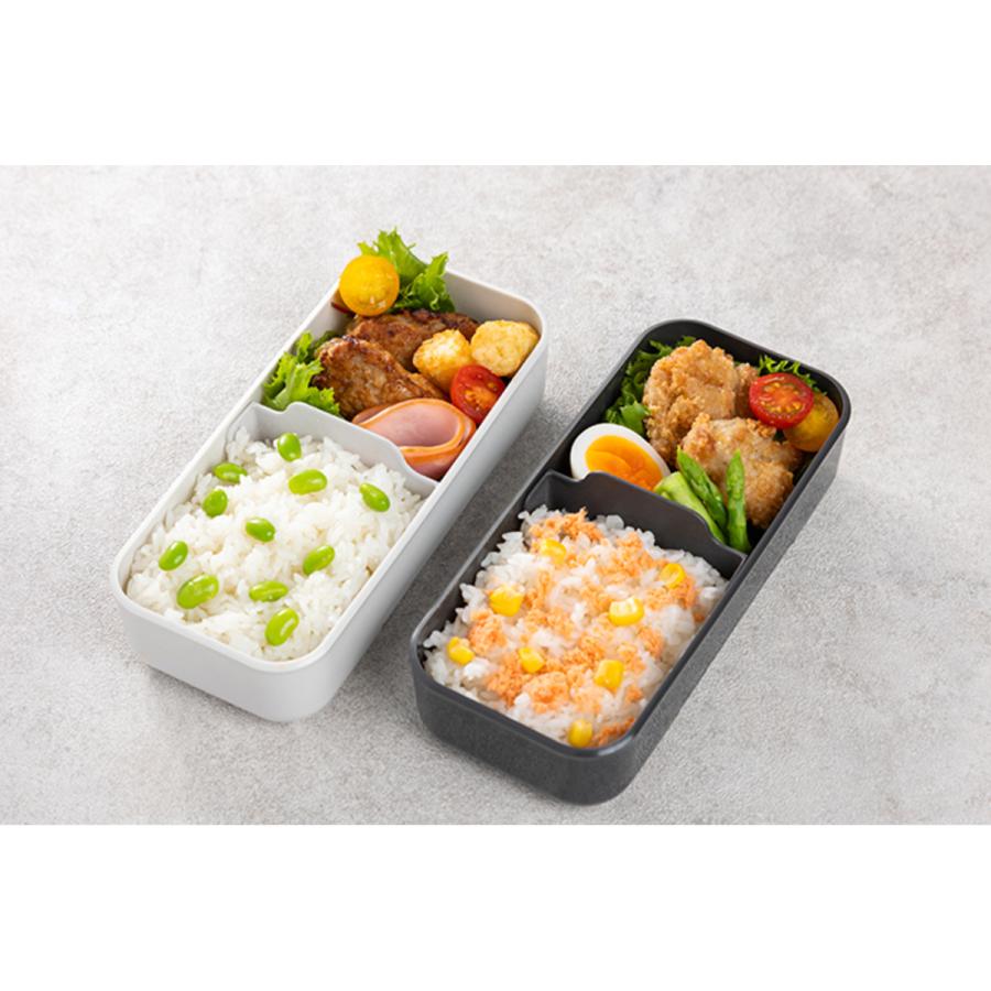 IWASAKI 岩崎工業 弁当箱 イージーケアランチボックススリム1段 800ml