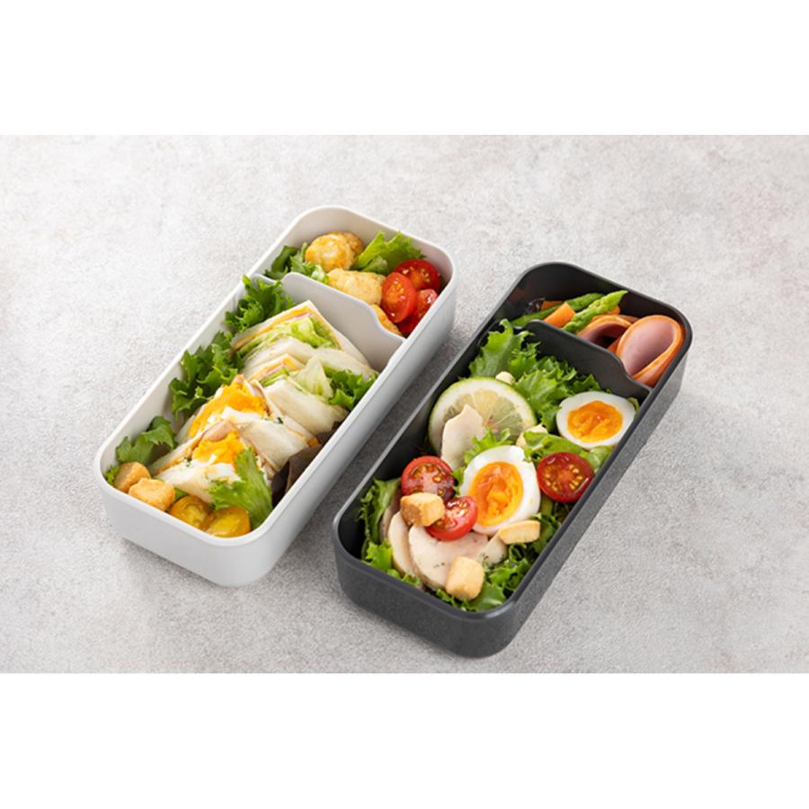 IWASAKI 岩崎工業 弁当箱 イージーケアランチボックススリム1段 800ml