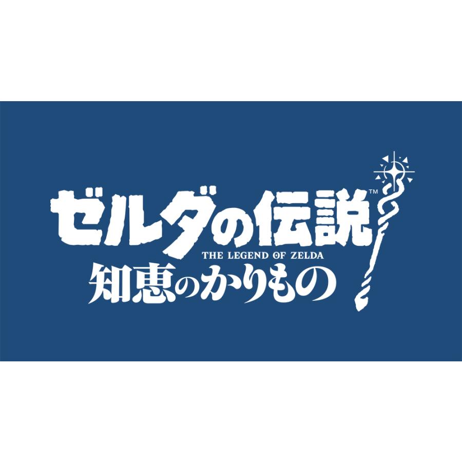 任天堂 ゼルダの伝説 知恵のかりもの 【Switch】 : murauchi.co