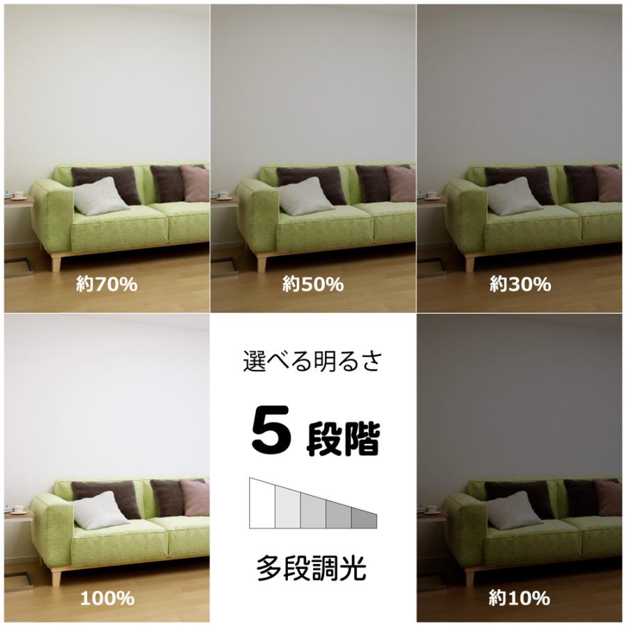 Hotalux ホタルクス HLDZ08424SG　LEDシーリングライト　シルクデザイン「お城物語」　調光【〜8畳】※リモコン付