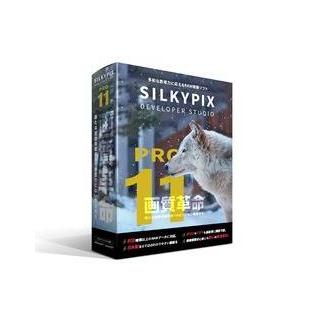75％以上節約 今月限定 特別大特価 市川ソフトラボラトリー SILKYPIX Developer Studio Pro11 パッケージ版 merryll.de merryll.de