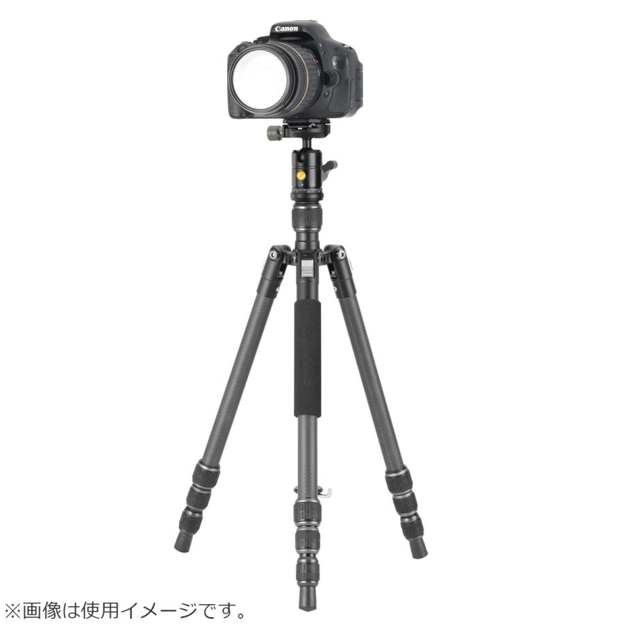 VANGUARD バンガード VESTA GO 204CB 20脚径三脚 自由雲台VEO BH-45